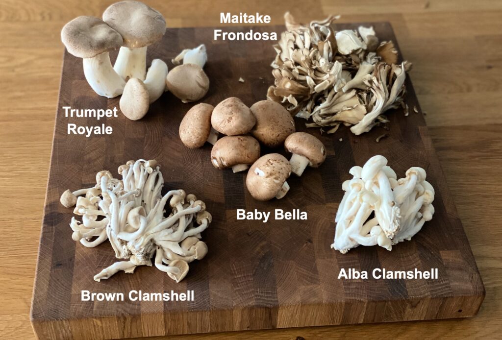 mushroom varieties