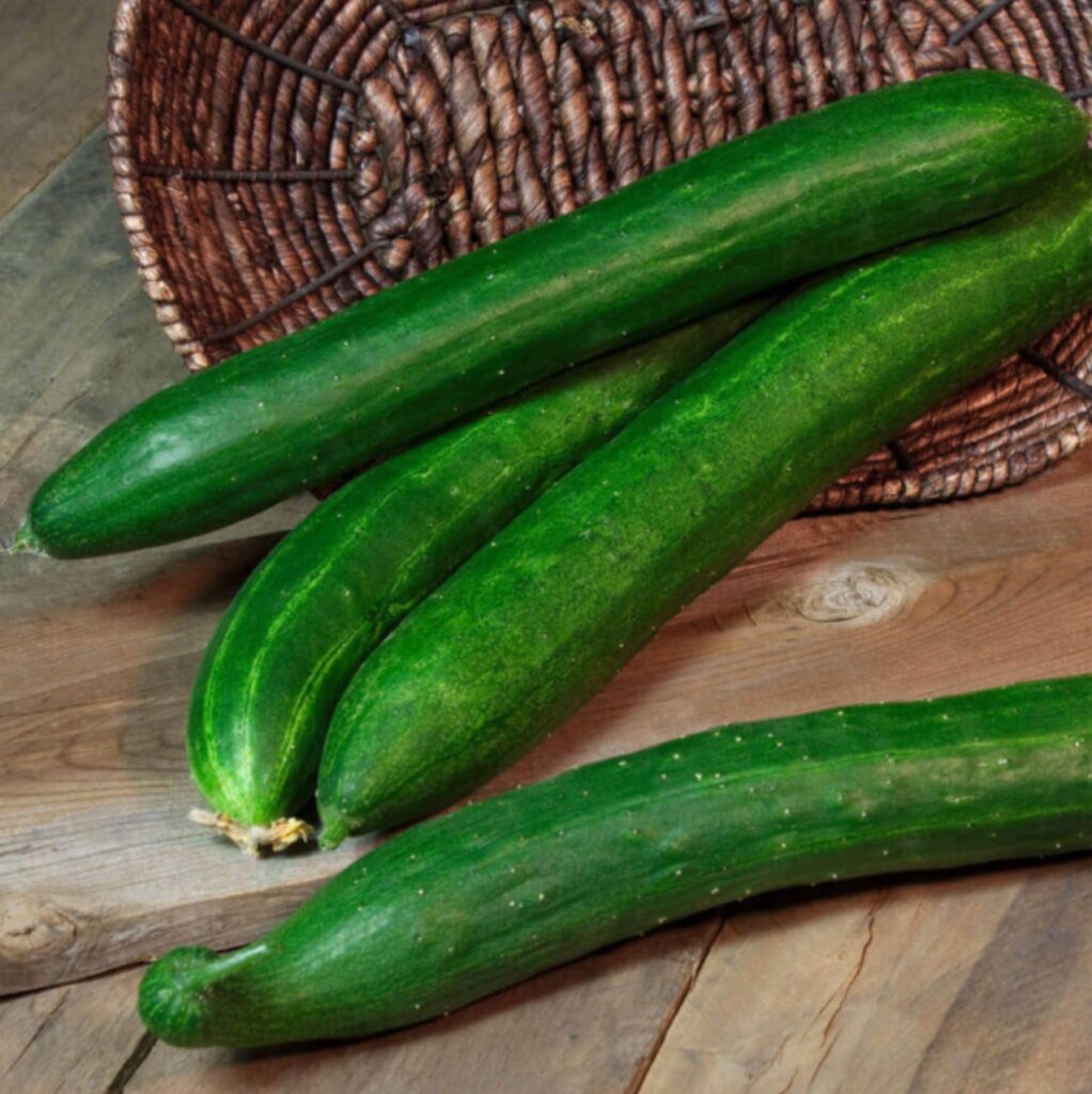 English cucumbers