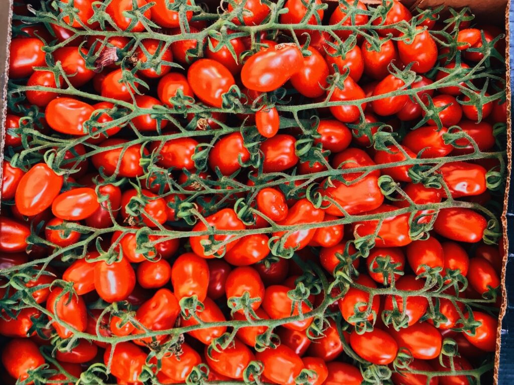 cherry tomatoes