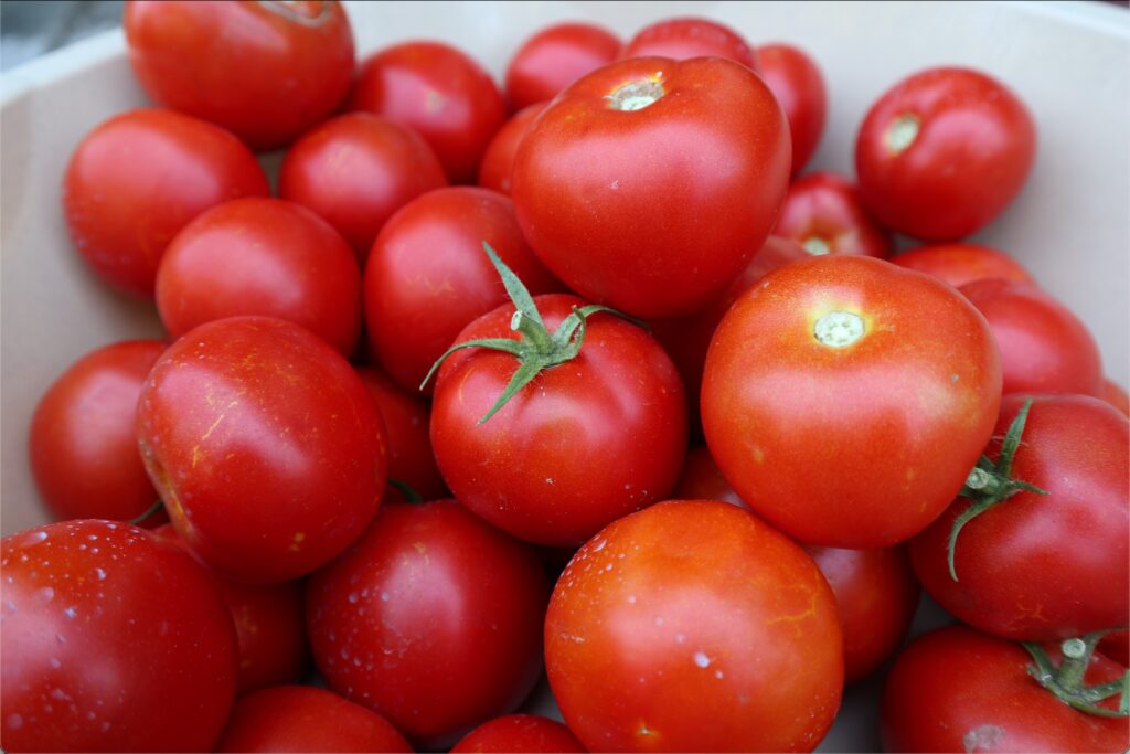 Greek tomatoes